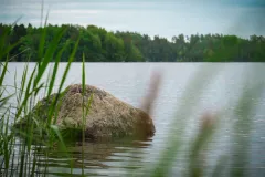 Flen, sommaren 2020.